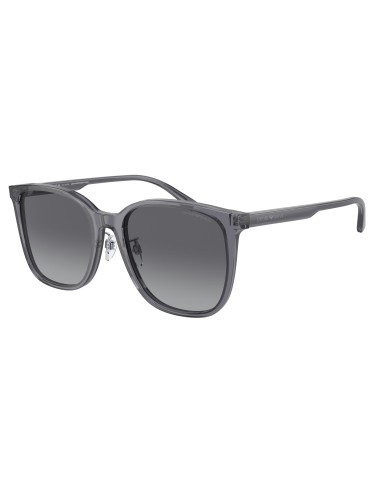 Emporio Armani 4206D Sunglasses de France